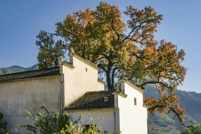 中国最美的小山村(中国十大最美小山村)