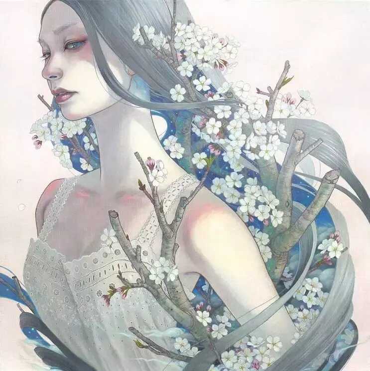 唯美的插画手绘花草树木(美丽好看的插画花草壁纸)