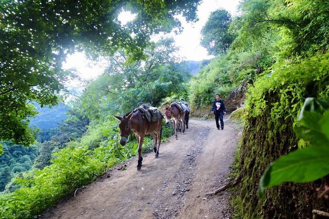 中国最美的小山村(中国十大最美小山村)