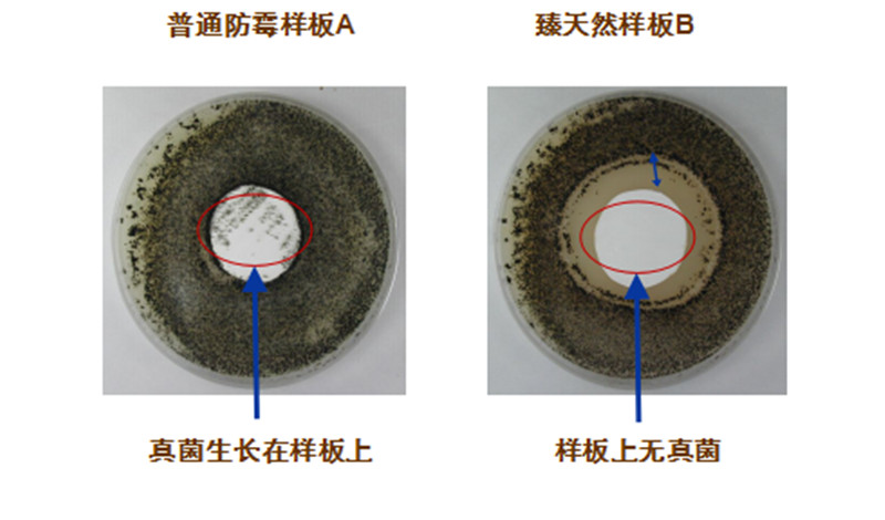 长颈鹿漆臻天然无机矿物涂料(长颈鹿牌无机矿物涂料)