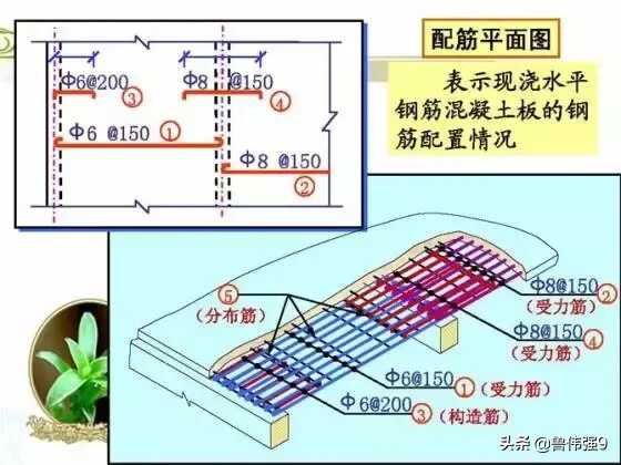 钢筋配筋图详解(钢筋配筋图讲解大全)