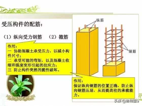 钢筋配筋图详解(钢筋配筋图讲解大全)