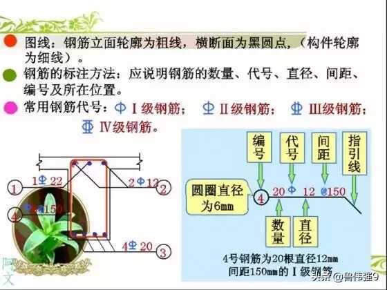 钢筋配筋图详解(钢筋配筋图讲解大全)