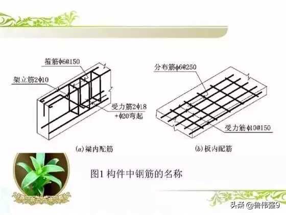 钢筋配筋图详解(钢筋配筋图讲解大全)