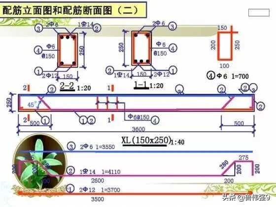 钢筋配筋图详解(钢筋配筋图讲解大全)