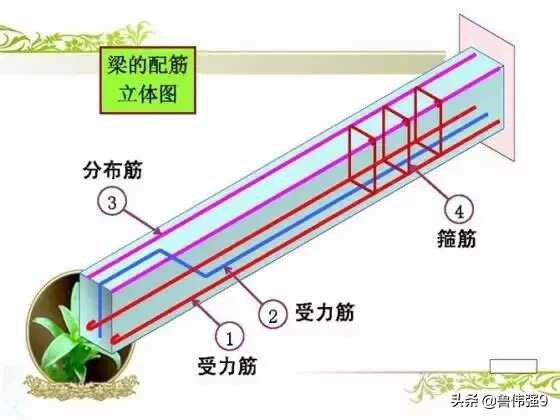 钢筋配筋图详解(钢筋配筋图讲解大全)