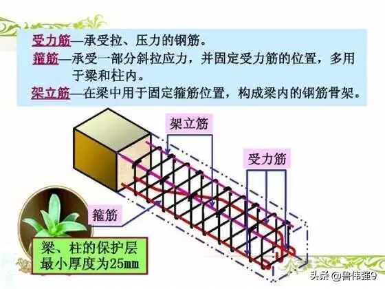 钢筋配筋图详解(钢筋配筋图讲解大全)