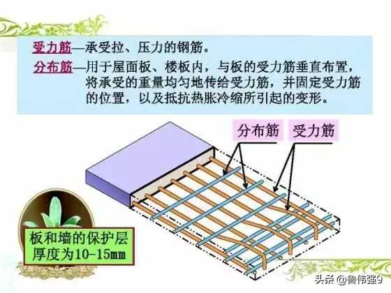 钢筋配筋图详解(钢筋配筋图讲解大全)