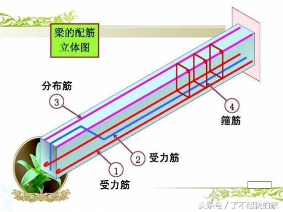 钢筋配图讲解(钢筋配图简图怎么看)