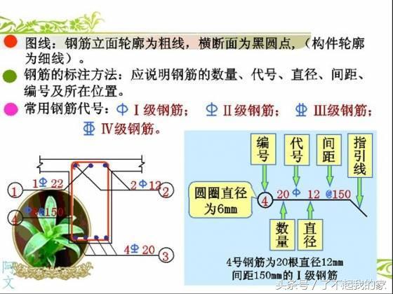 钢筋配图讲解(钢筋配图简图怎么看)