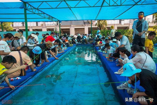 综合鱼池钓鱼鱼竿推荐(鱼池钓鱼用什么鱼竿好)