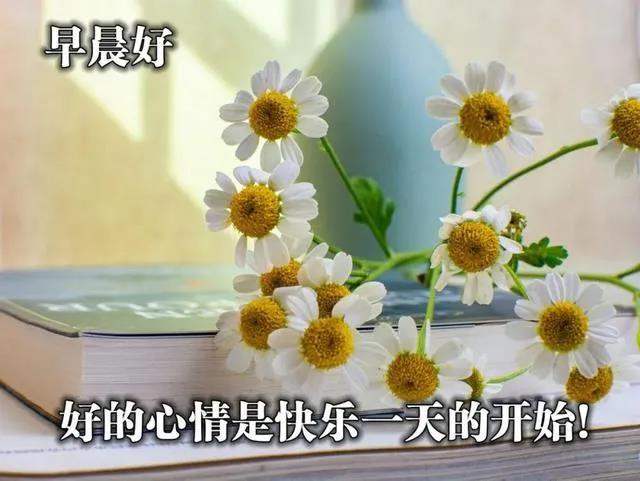 特漂亮的朋友圈早安图片表情大全(今日早安图片朋友圈)