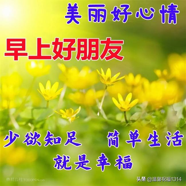 漂亮早上好动态表情图片大全(今日早上好动态图片大全)