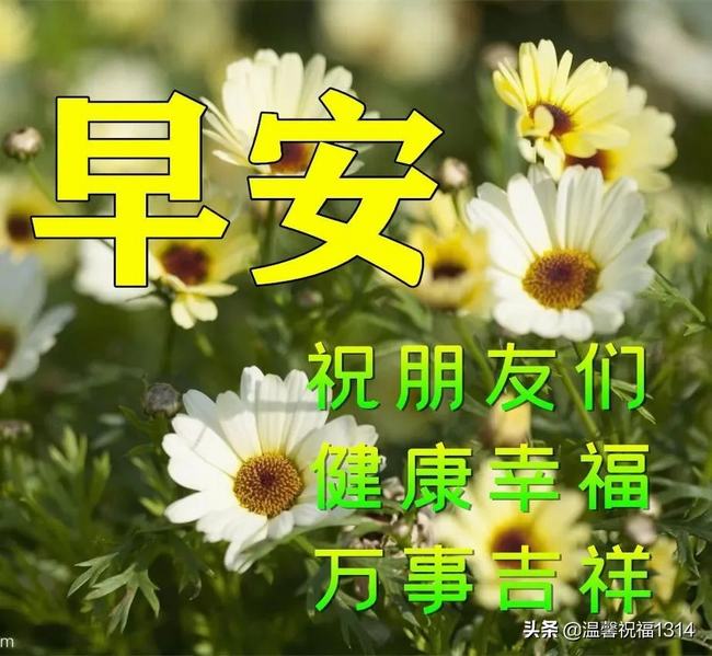 漂亮早上好动态表情图片大全(今日早上好动态图片大全)