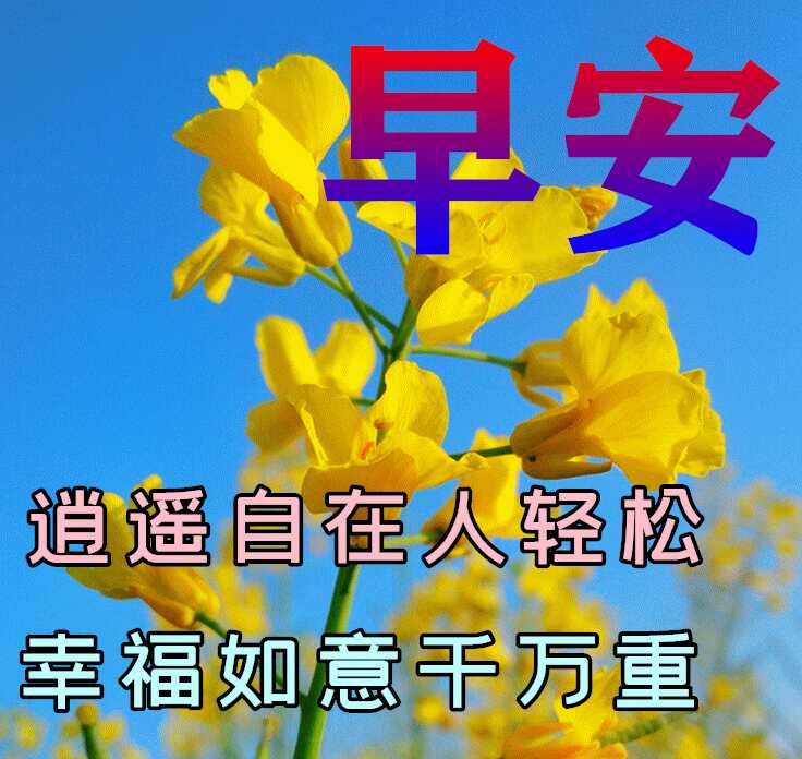 漂亮早上好动态表情图片大全(今日早上好动态图片大全)