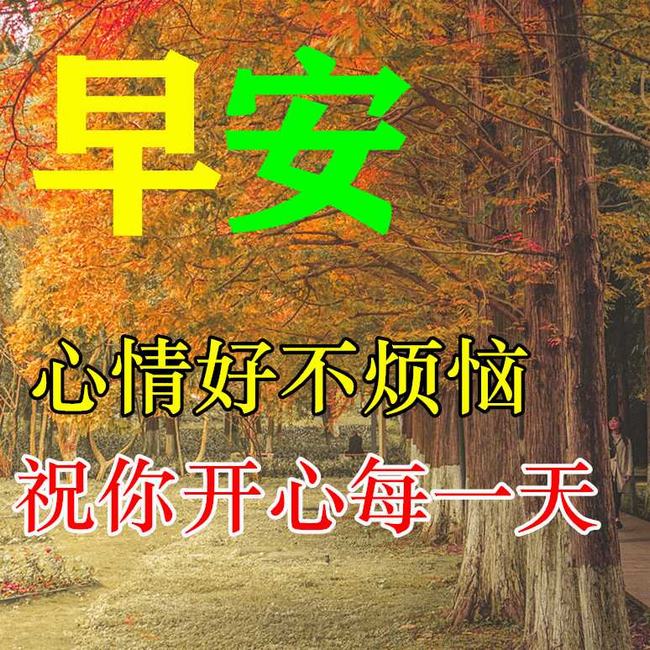 漂亮早上好动态表情图片大全(今日早上好动态图片大全)