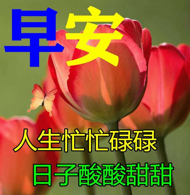 漂亮早上好动态表情图片大全(今日早上好动态图片大全)