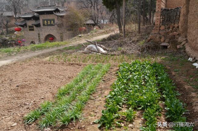 深山老奶奶的风水(老人独居深山风水图)