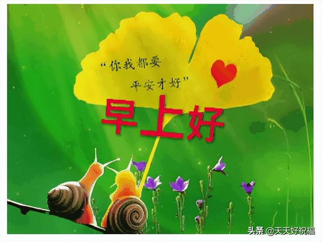 早晨好最新图片最美祝福语(早上好图片最美温馨微信)