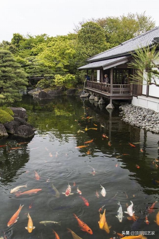 庭院鱼池是规则式好还是自然式好(庭院回规则式鱼池设计)