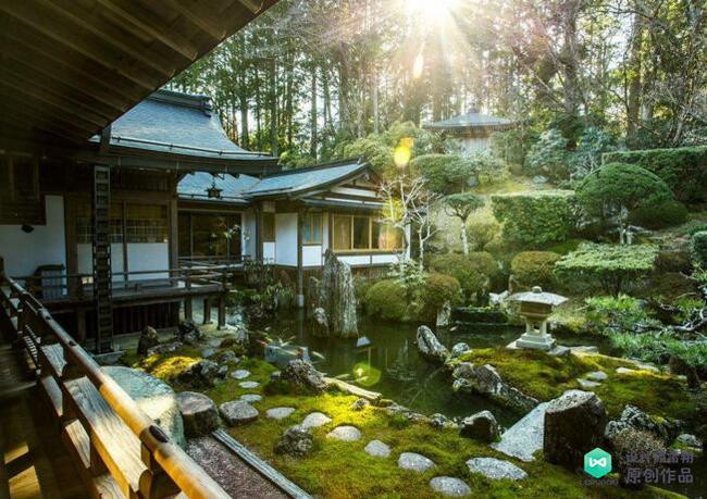 庭院鱼池设计实景图图片(庭院鱼池设计款式图片)