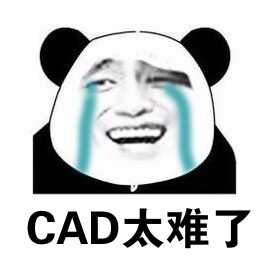 学习cad100个技巧(零基础怎样学cad制图)