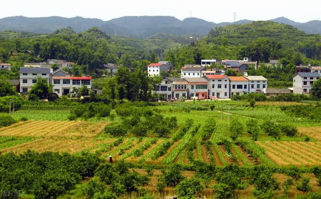 宅基地打了地基算违建吗(宅基地打了地基算建房吗)