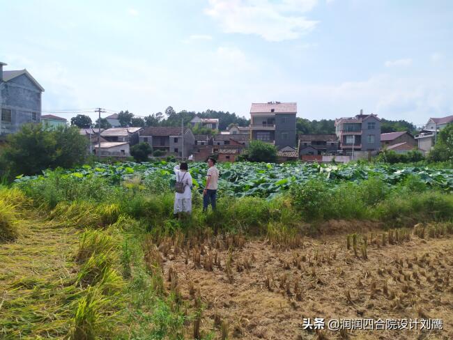 农村设计四合院怎么设计(农村简单四合院设计大全)