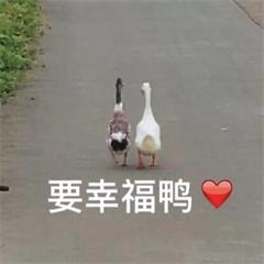 cad相关快捷命令绘图技巧好看视频(cad绘图快的快捷键)