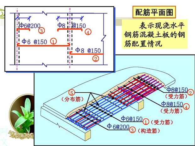 10分钟快速读懂钢筋配筋图(怎样才能看懂钢筋配筋图)