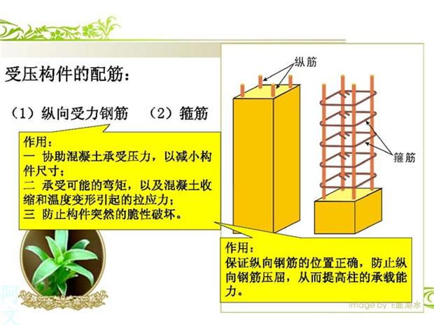 10分钟快速读懂钢筋配筋图(怎样才能看懂钢筋配筋图)