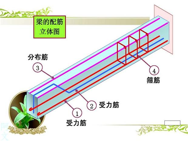 10分钟快速读懂钢筋配筋图(怎样才能看懂钢筋配筋图)