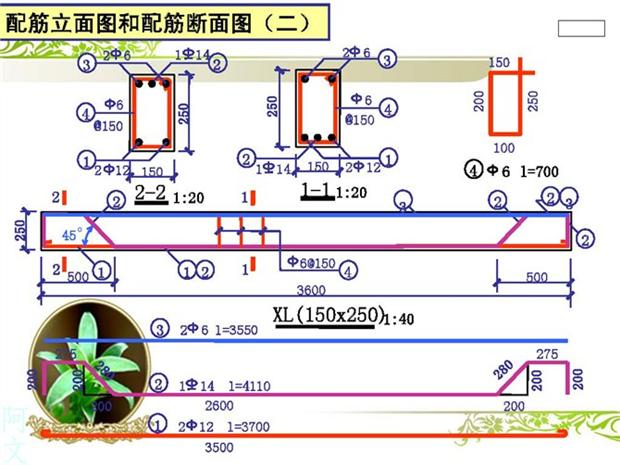 10分钟快速读懂钢筋配筋图(怎样才能看懂钢筋配筋图)