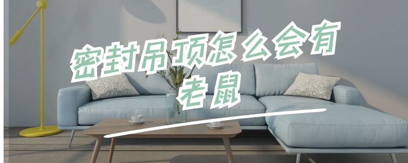 密封吊顶怎么会有老鼠