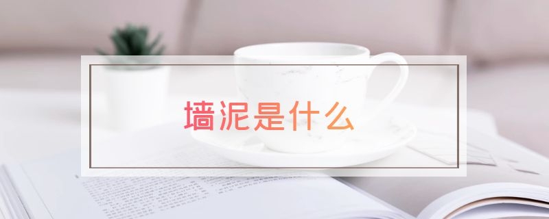 墙泥是什么