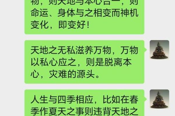 马年2月的命局解析：揭示命运的奥秘与机遇