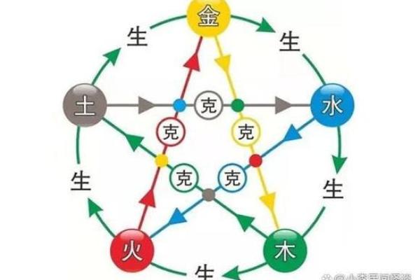 探索五行之中：马的命理与性格解析