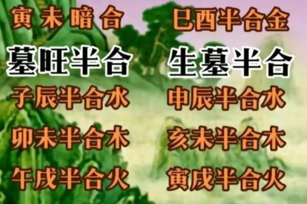 女命地支明合暗合的奥秘与应用探讨