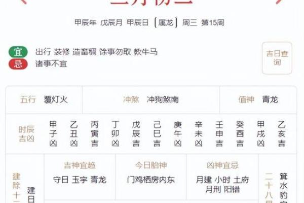 2024年三月虎宝宝命运解析：开启人生的新篇章