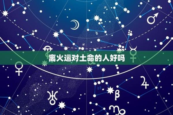 揭秘木命女孩的命格与人生轨迹：如何发挥潜能，创造美好未来