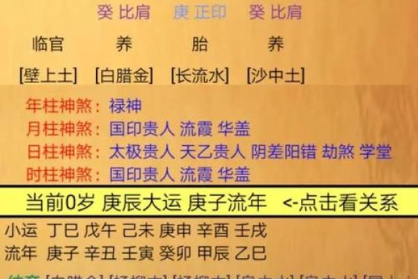 男性属相与命理：解析你的性格与运势之谜