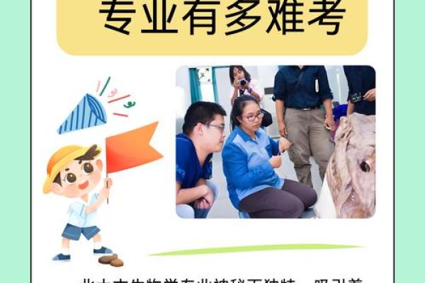 命理中的化官：深入解析其奥秘与影响力