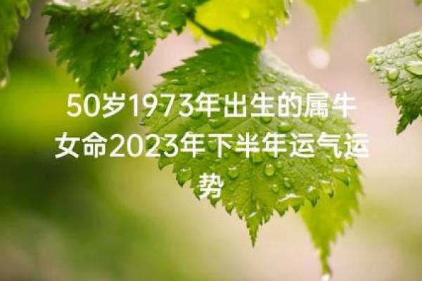 牛年运势解析：2024年属牛人士命理指南与生活启示