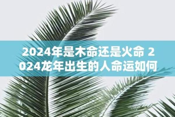 马云命理解析：他是木命还是火命？独特的命运背后有什么启示？