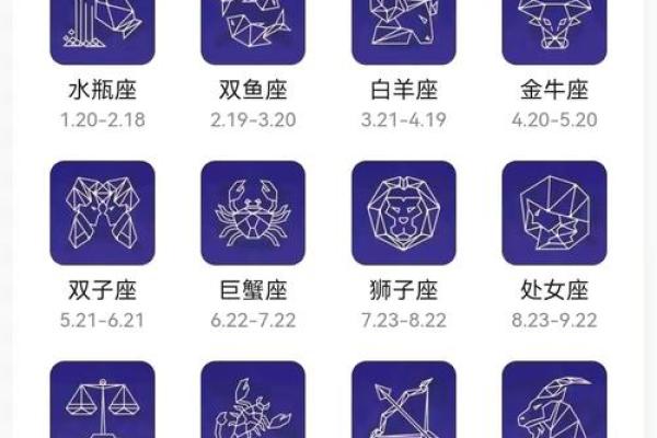 明年五月十六命理解析：揭示你未来的运势与机遇