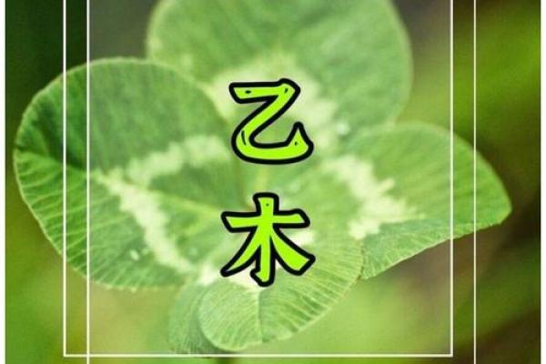 木命的命理之道：不可携带的禁忌与生活智慧