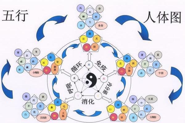 命理探秘：教你通过五行看透自己的命格与人生之路