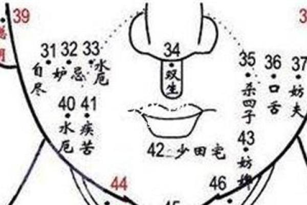 眉头两颗痣的命运解读：揭示潜在的性格与人生轨迹