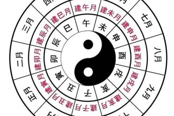 命理术数的奥秘：揭示人生与命运的深层联系