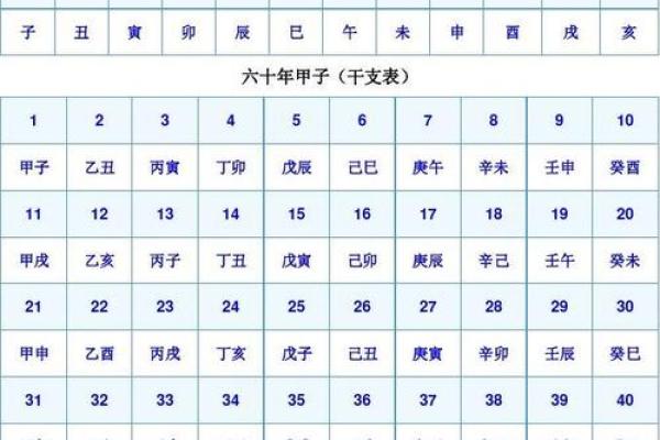 六一年是什么命年？探寻五行八字中的神秘之旅